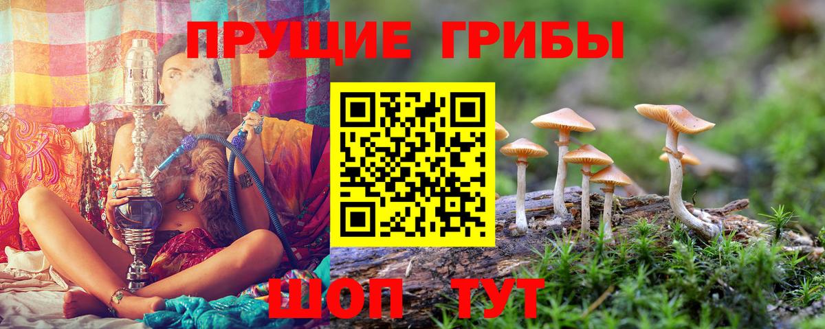 Псилоцибиновые грибы Magic Shrooms Кохма
