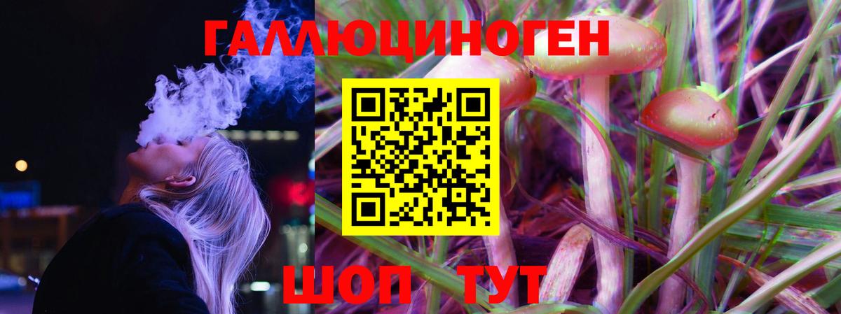 Кохма  где купить   Вход с VPN  Псилоцибиновые грибы Psilocybe 